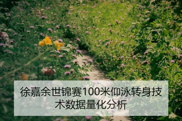 徐嘉余世锦赛100米仰泳转身技术数据量化分析