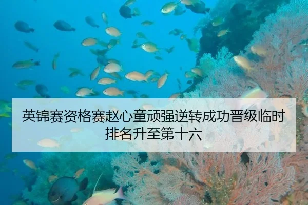 英锦赛资格赛赵心童顽强逆转成功晋级临时排名升至第十六